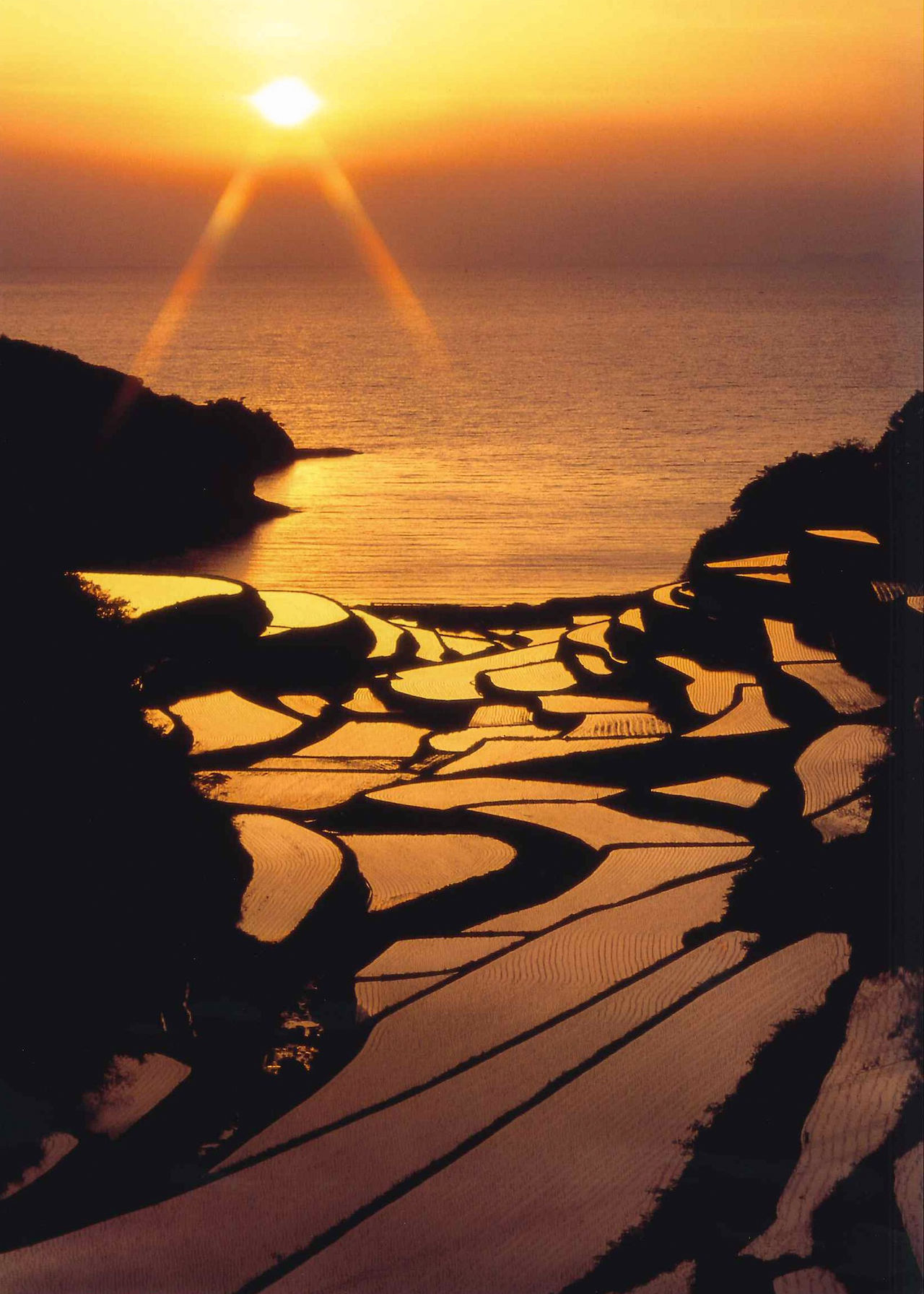 夕阳将日本海和梯田染成美妙的橘色