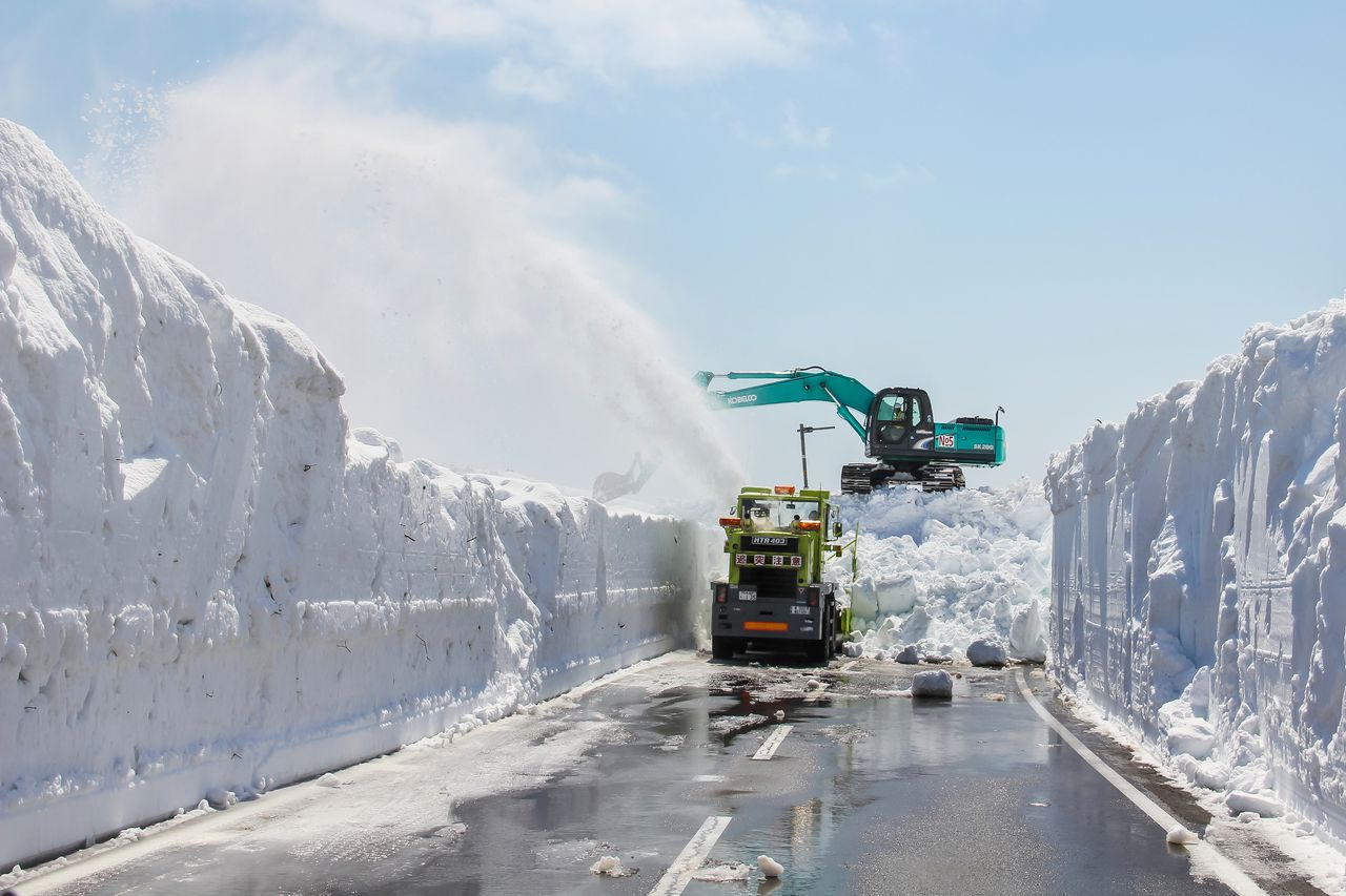 旋转式除雪车和液压挖掘机正在进行除雪作业（图片：知床斜里町观光协会）