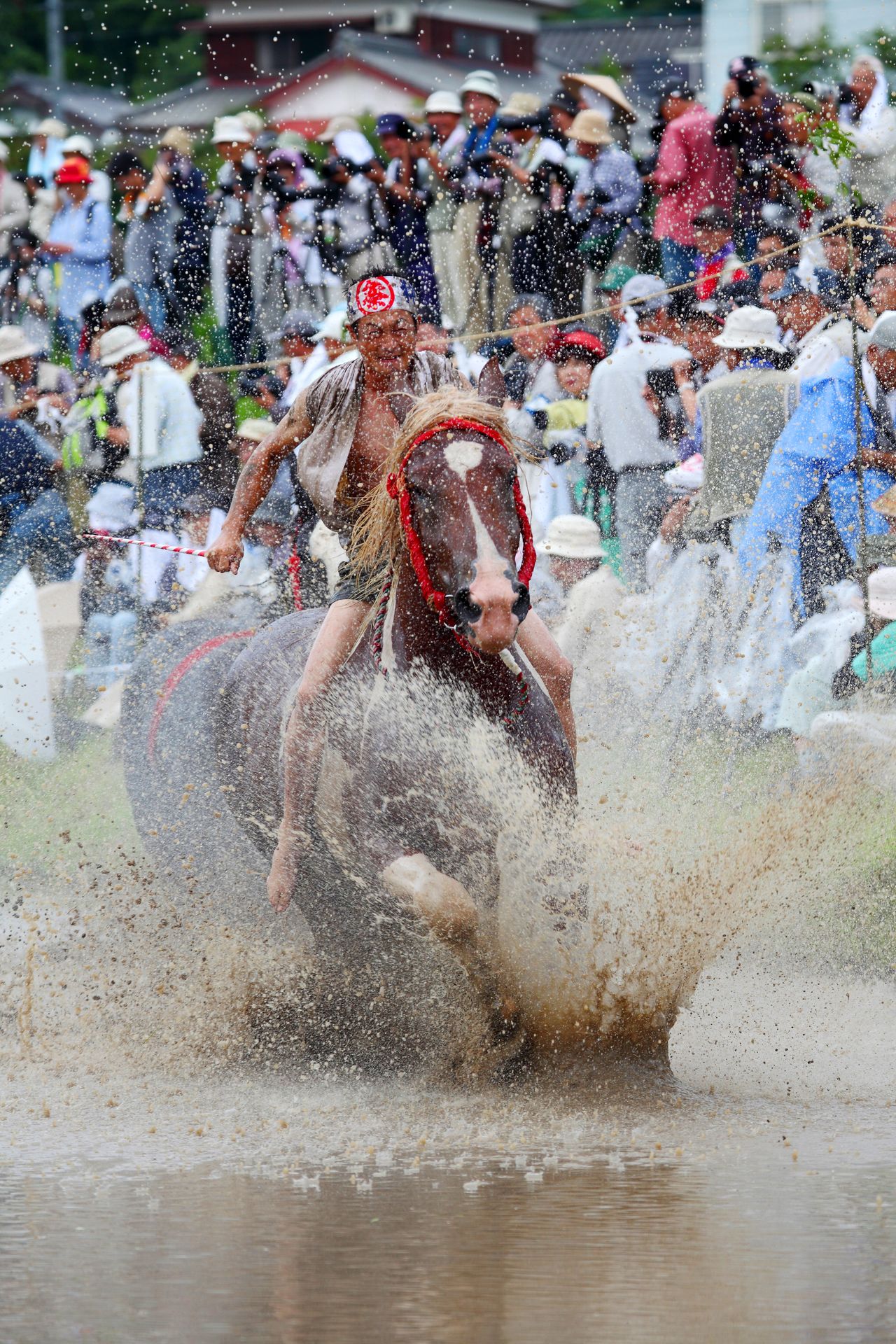 抓拍的照片震撼力十足,在赛会活动的摄影比赛中屡获大奖