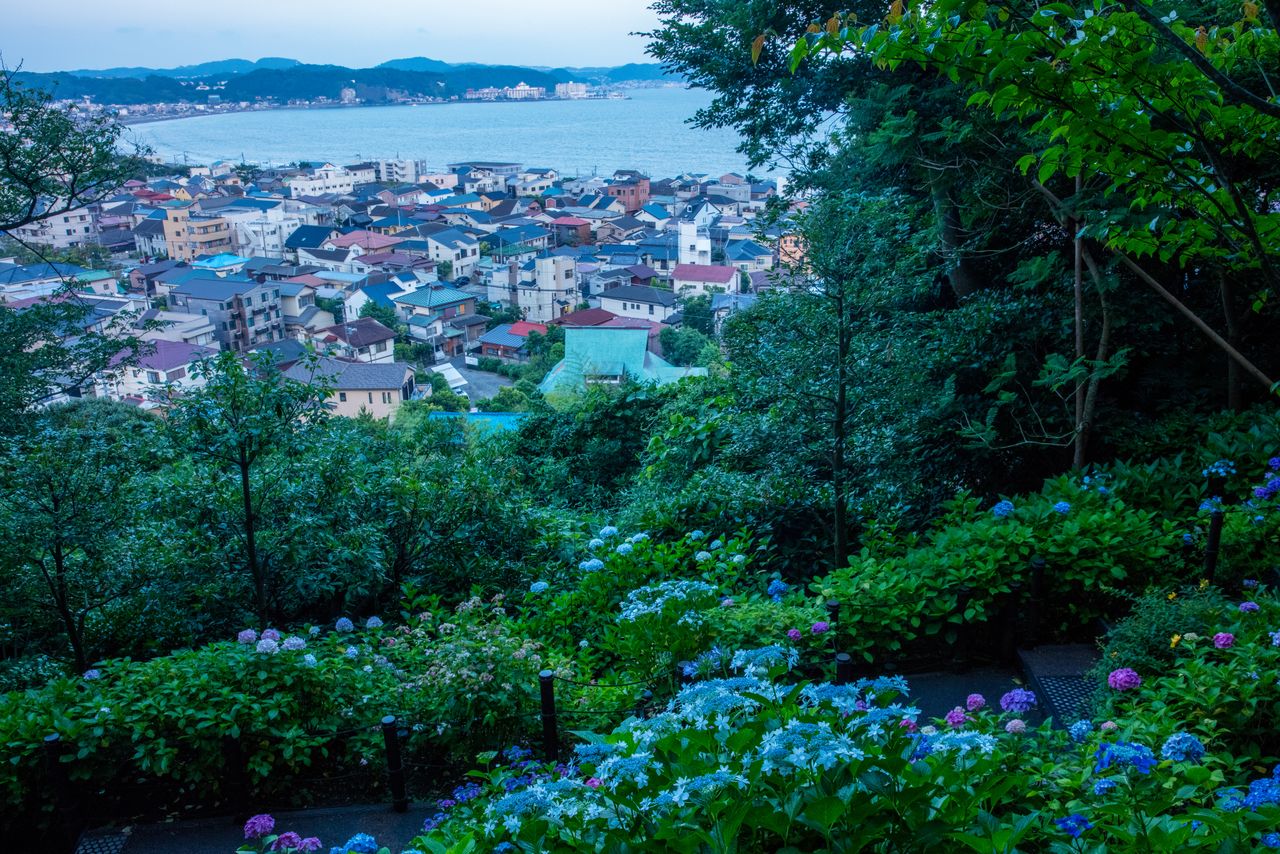 长谷寺的山号为“海光山”。爬上200级石阶,便能一览无愧于“海光山”之名的壮丽景色