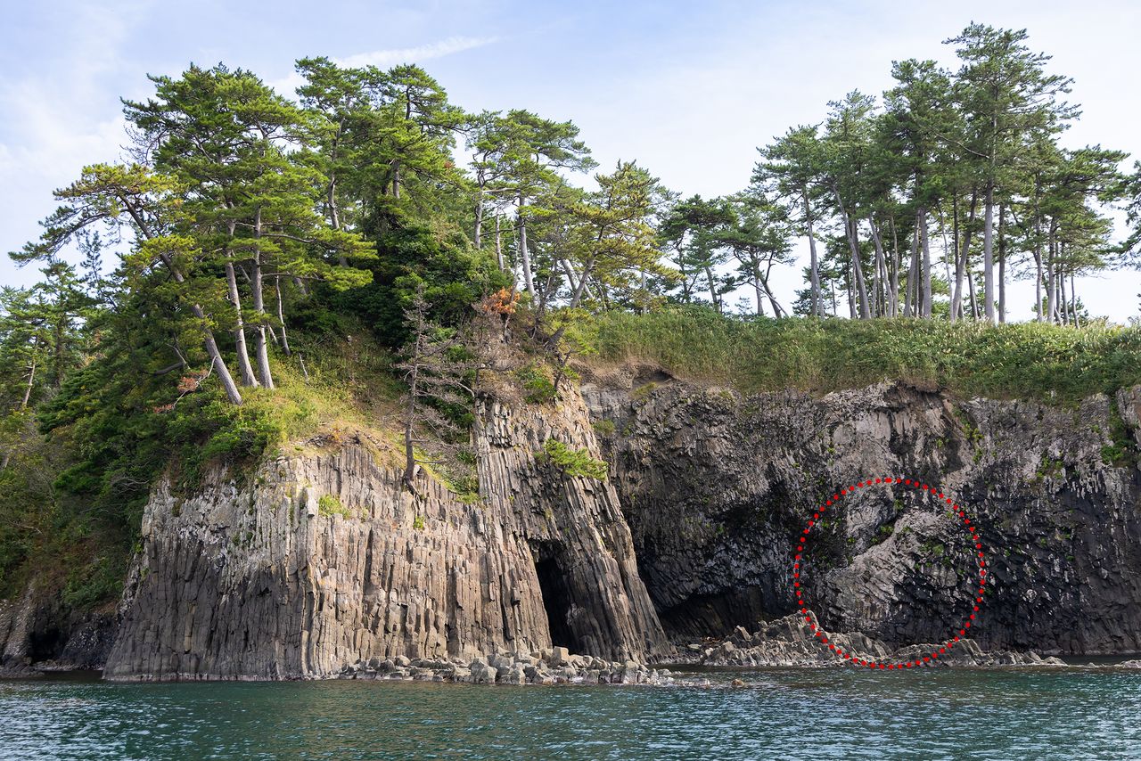 红色圆圈部分看似恐龙。2023年通过征集昵称,因形似霸王龙而得名为“暴龙坊”