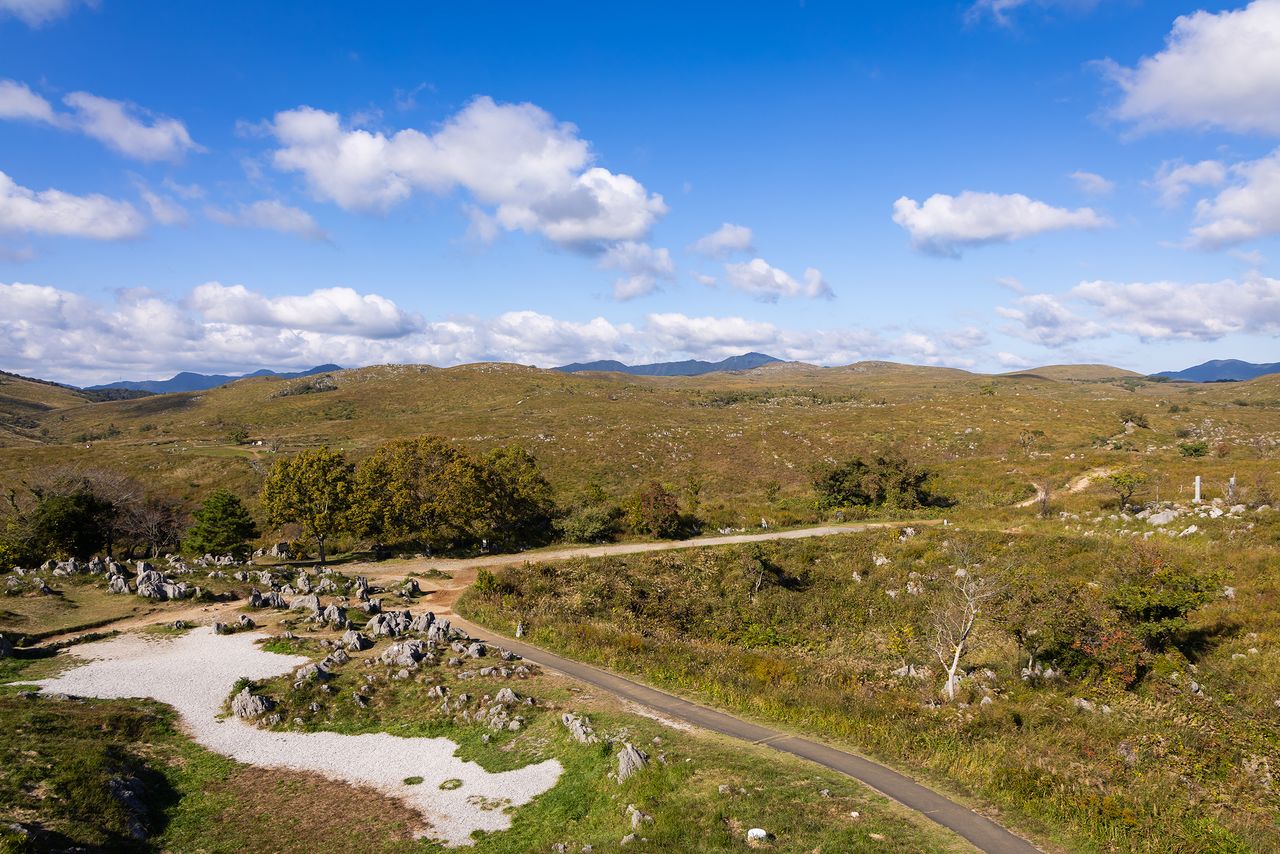 从喀斯特观景台拍摄的秋吉台国定公园