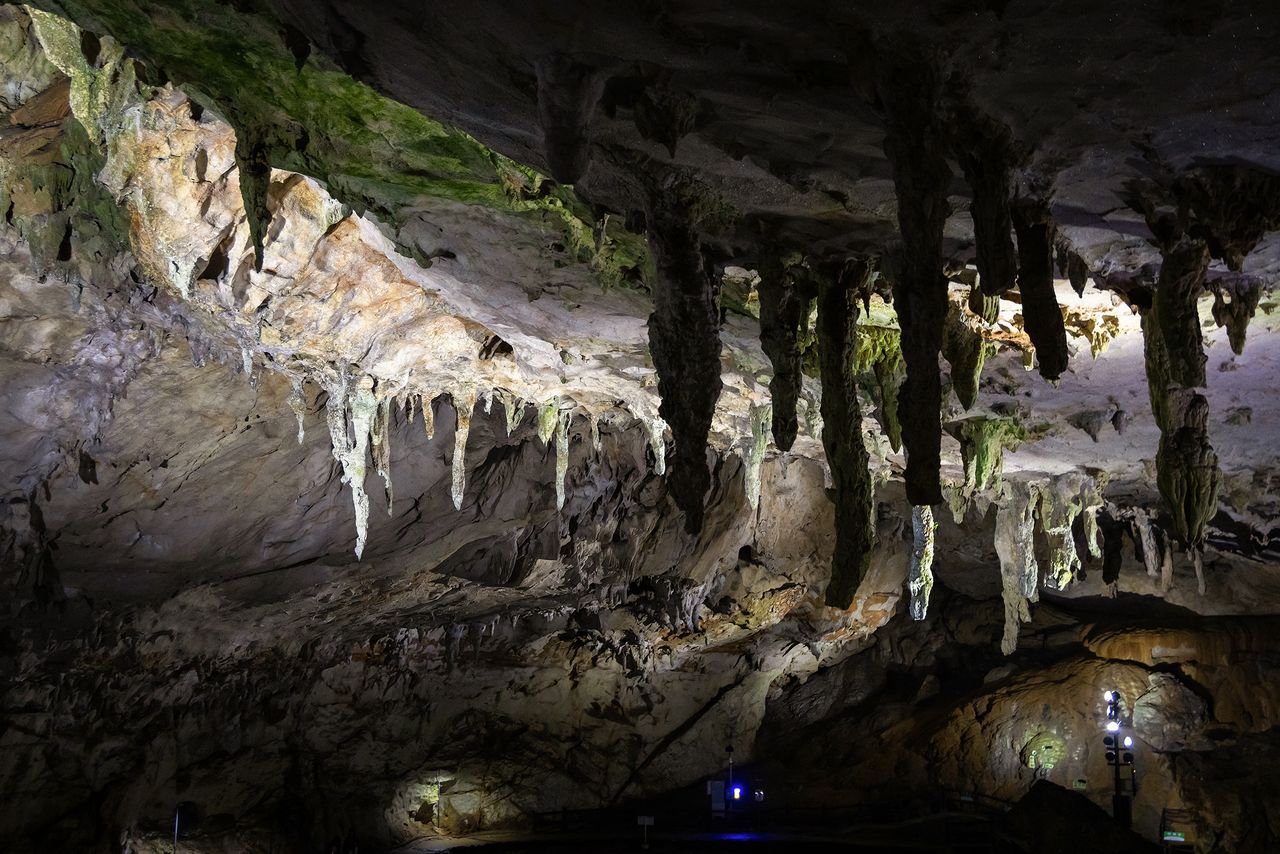 千叠敷的洞顶悬挂着无数钟乳石柱,被称为“万伞垂帘”