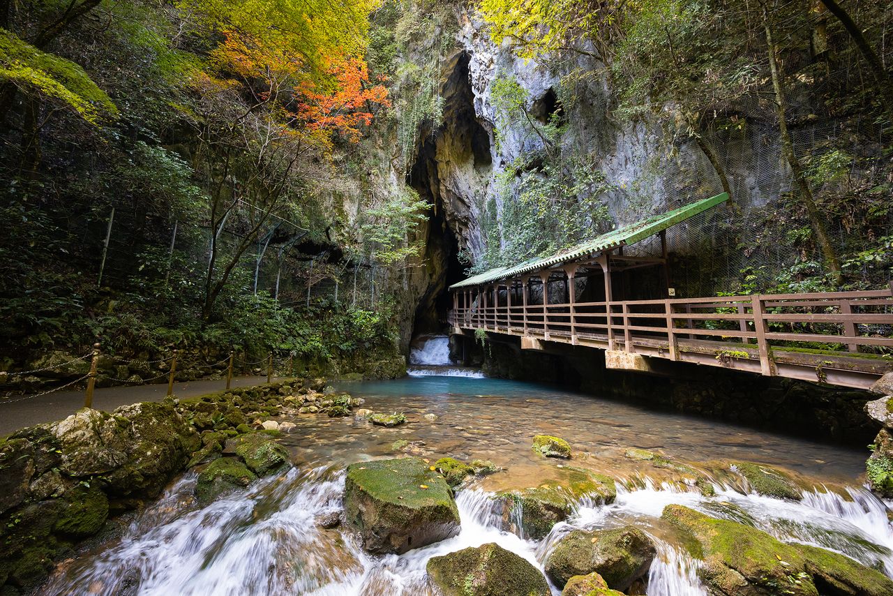 红叶季的正门入口尤为惊艳