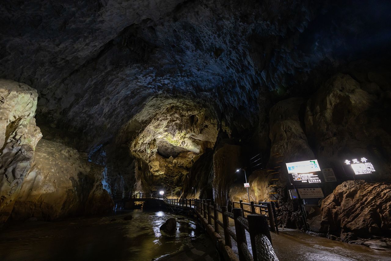 “青天井”内冬暖夏凉,温度时常保持在17℃左右,建议携带外套以便调节体感温度