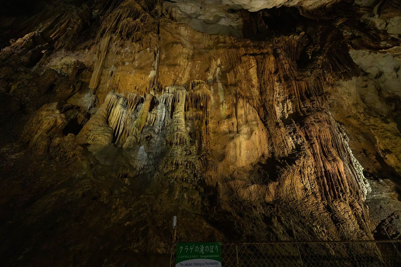 宛若水母逆流而上的“水母跃瀑”