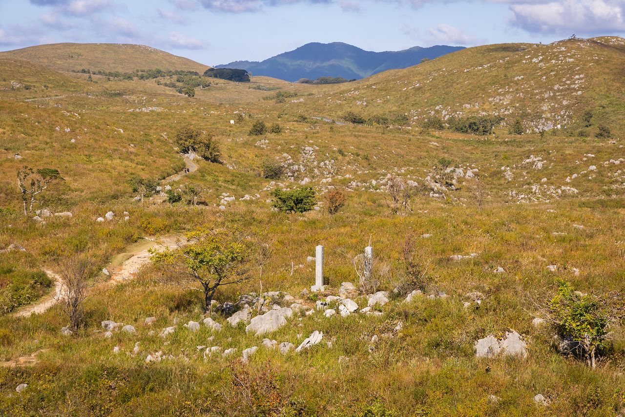 秋吉台共设有五条徒步路线,其中最短的是“喀斯特观景台线”,约1小时即可完成徒步一周
