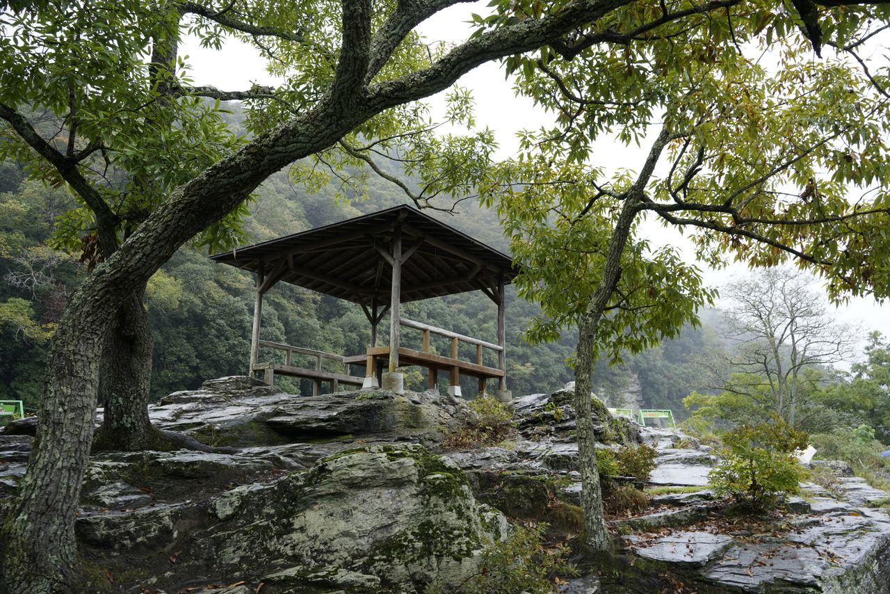 “岩叠”上岩石裸露(图片:大坂宽)