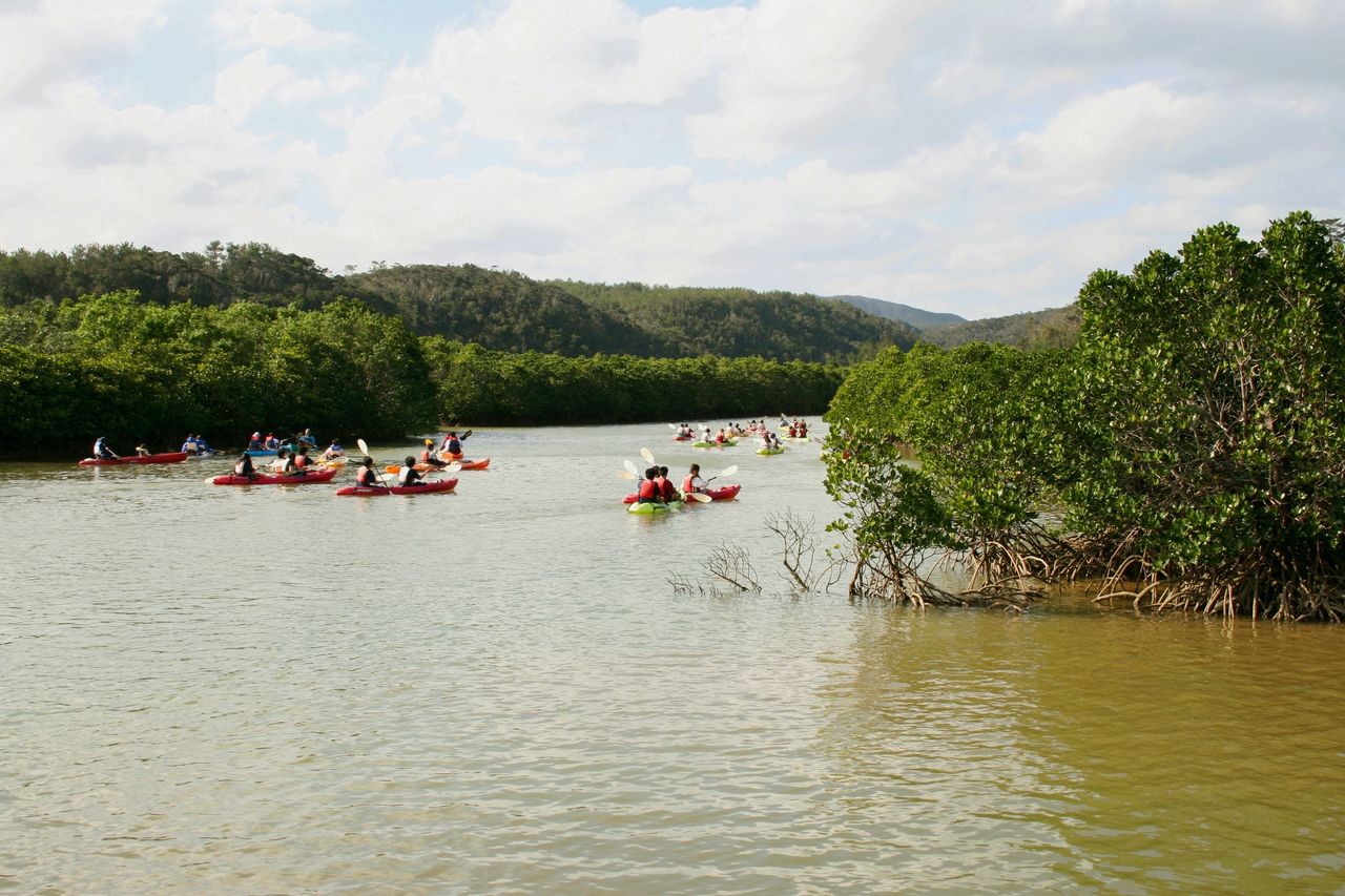 沿庆佐次湾绵延1公里的红树林，可以划着皮艇观赏©OCVB