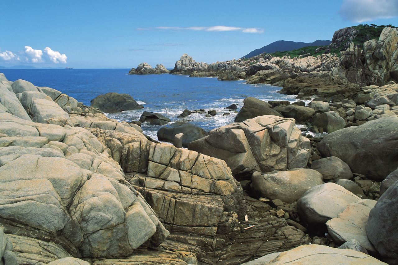 德之岛Mushiro濑的壮美景观。海岸附近丛生着用作“大岛紬”(奄美群岛一种传统纺织品——译注)染料的蔷薇科灌木车轮梅(图片: K.P.V.B)