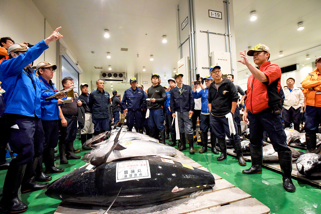 竞拍会是中间商之间展开的激烈较量的战场