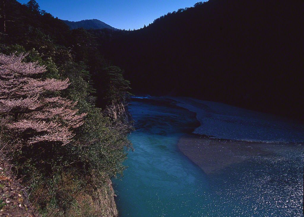 19.熊野川（摄影地：和歌山县）