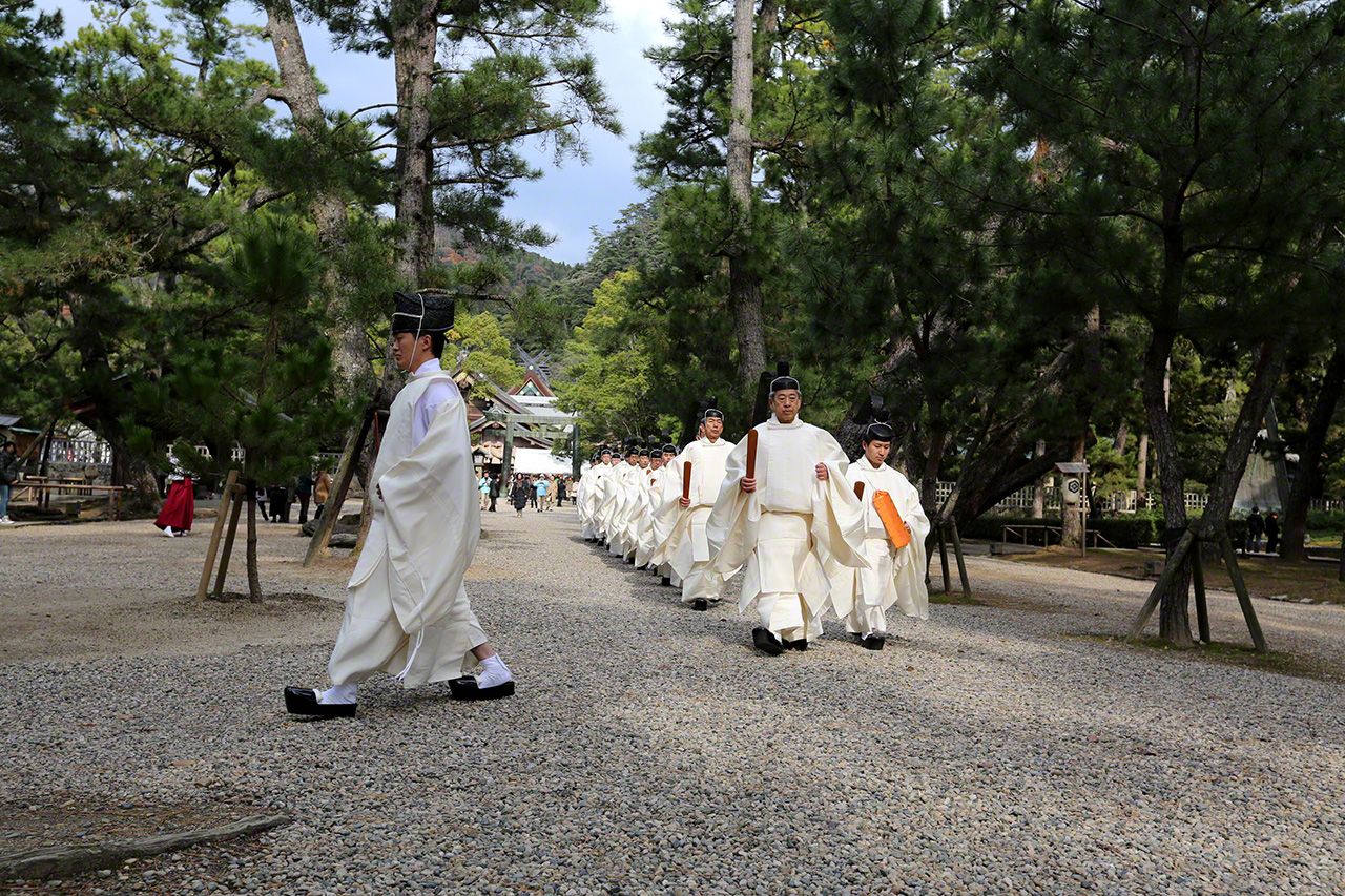 神职人员走在以拜殿为背景的松树参拜道上