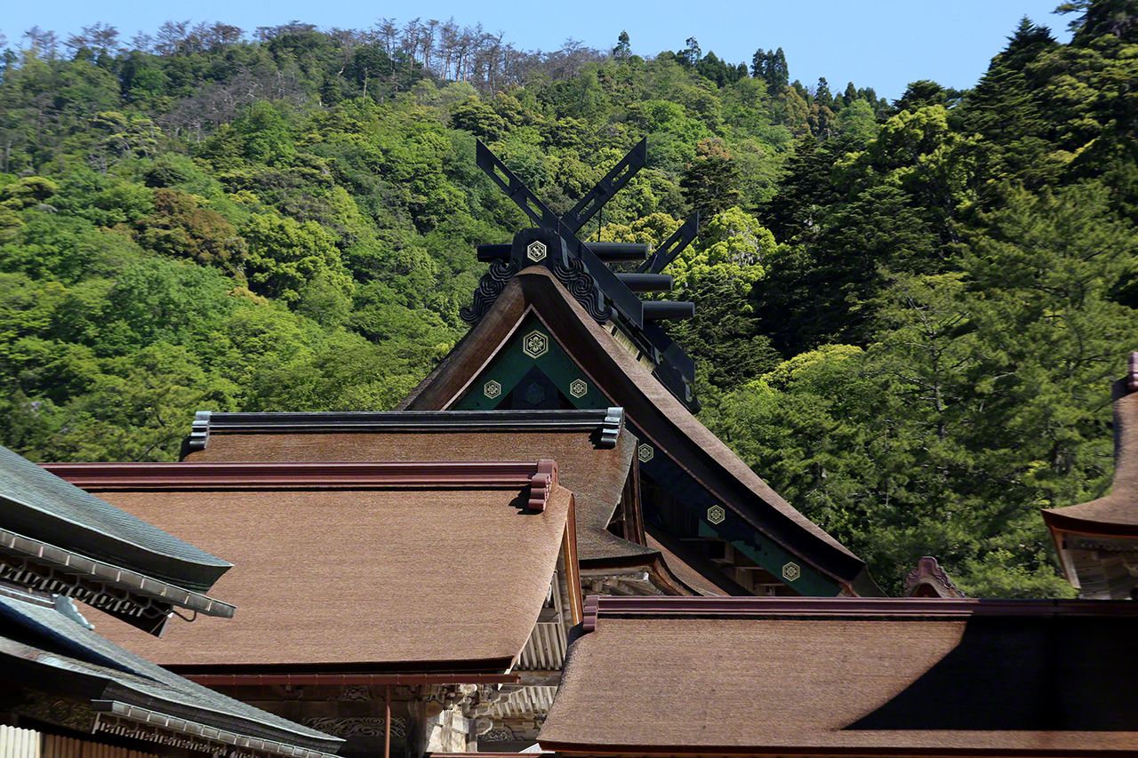 新神殿屋脊的交叉长木耸立在一片新绿中