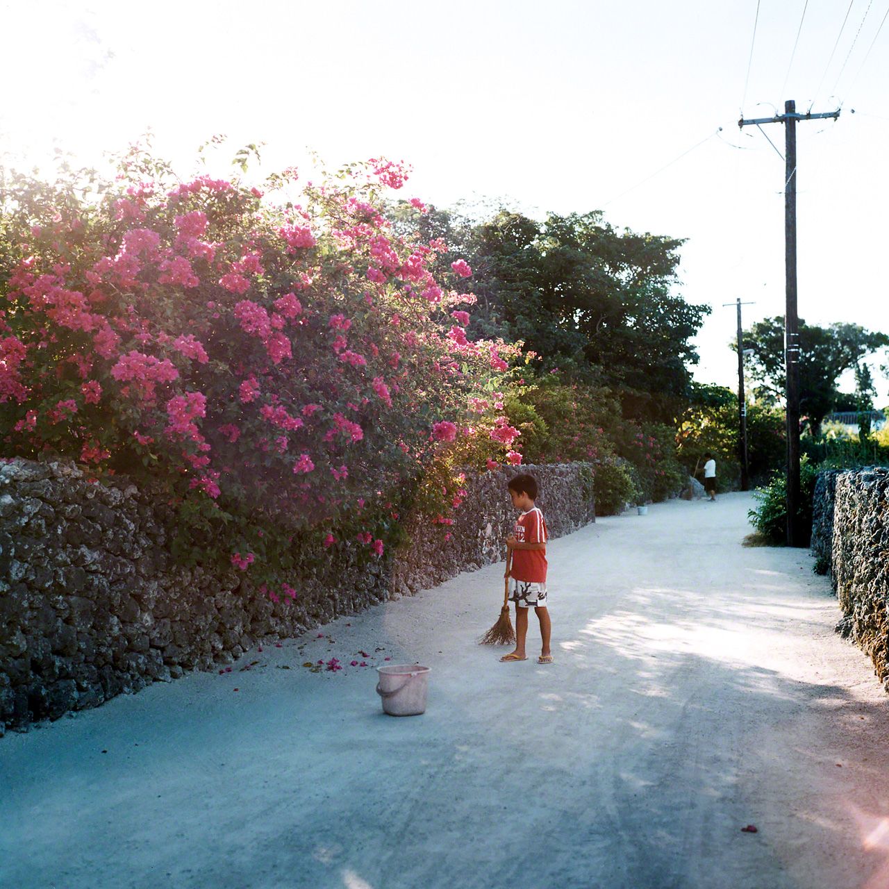 竹富岛，每天早晨清扫白砂小道的少年