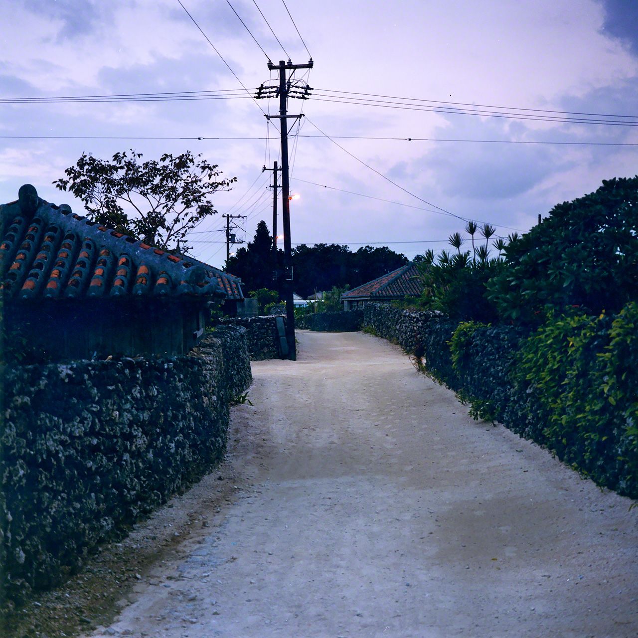 竹富岛的村落，被列入国家重要传统建筑群