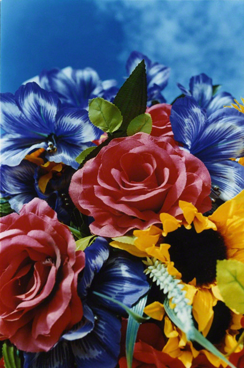出自摄影集《永远的花朵》（小学馆，2006年） ©mika ninagawa，Courtesy of Tomio Koyama Gallery
