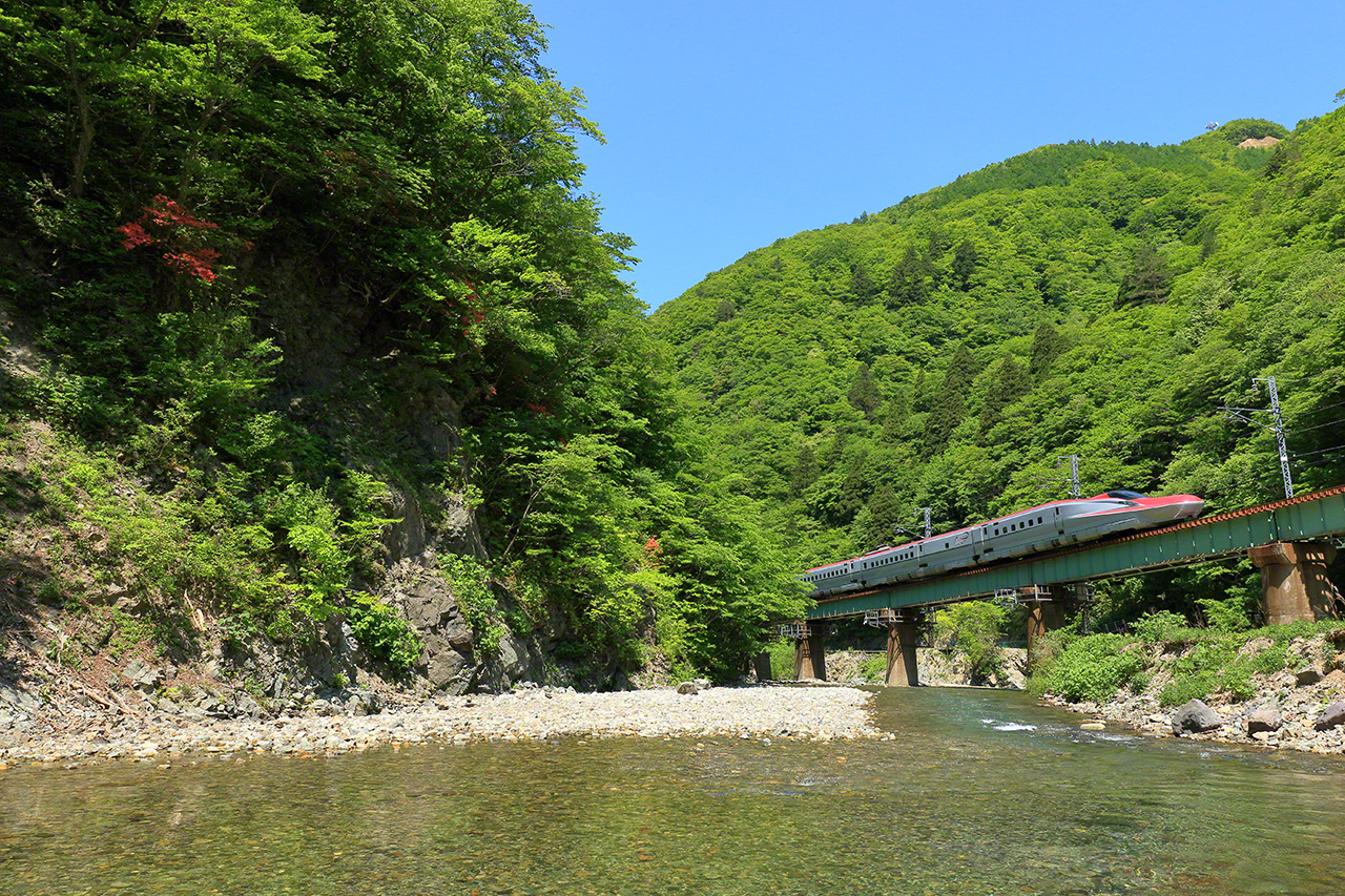 6月。运行于JR田泽湖线赤渕—田泽湖区间(岩手县雫石町、秋田县仙北市)的秋田新干线E6系“小町”号。新干线高速连接各大城市。但秋田新干线和山形新干线却远离主干线,在改良成标准轨(轨距1435mm)的奥羽本线和田泽湖线上运行。穿梭于新绿环绕的山间的新干线,也别具风采