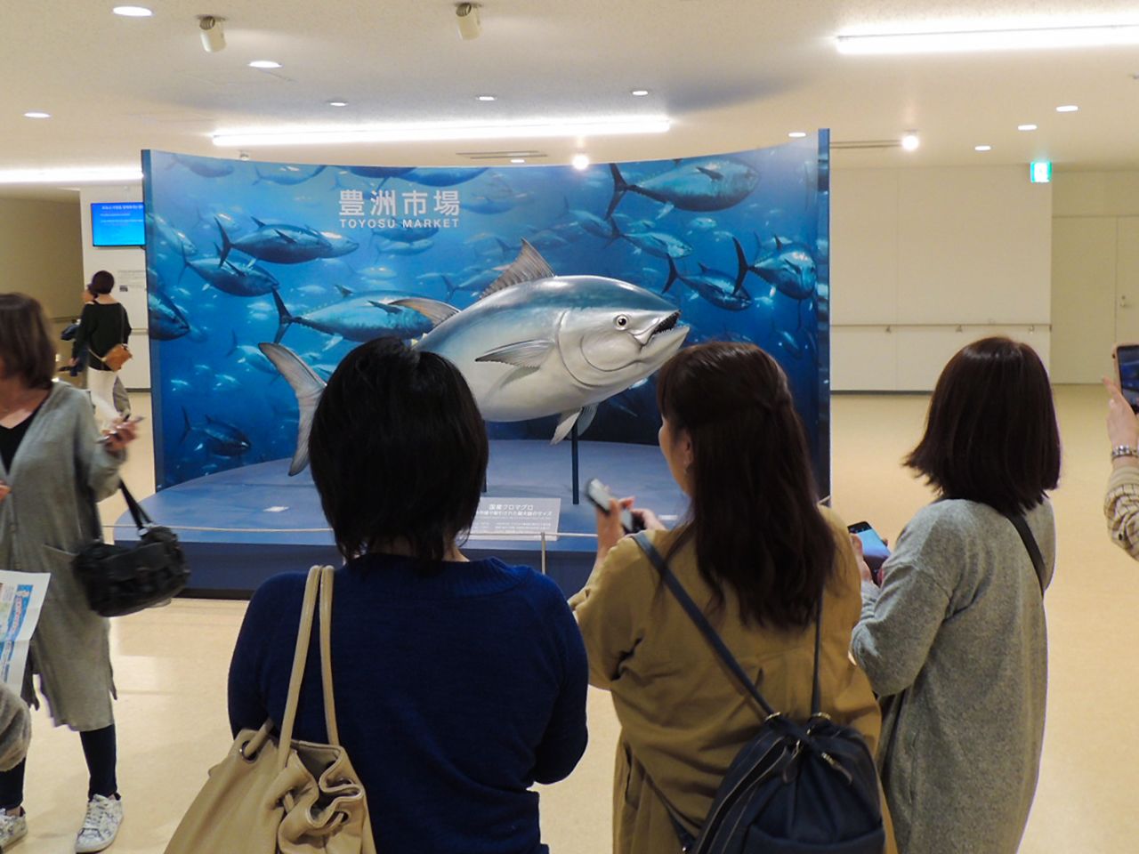 水产批发楼入口处展示着当年筑地市场到货的最大一条蓝鳍金枪鱼（496公斤）模型，成为网红拍照点  图片：笔者提供