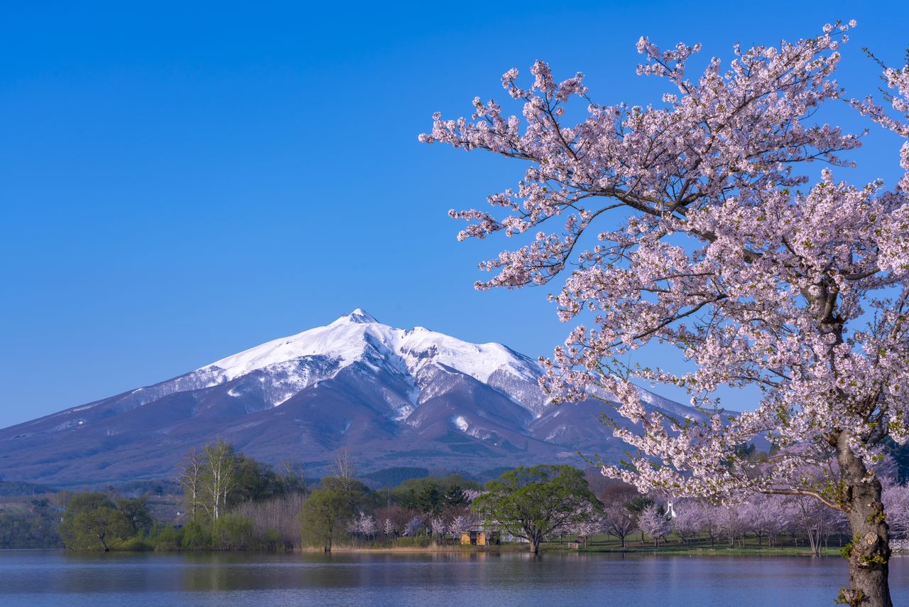 津軽富士 : 岩木山（PIXTA）