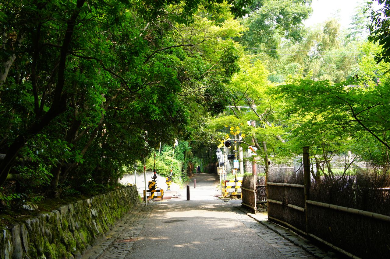 京都市内的铁路交叉口（作者提供）