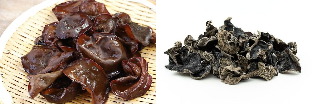 新鲜木耳(左)和干木耳