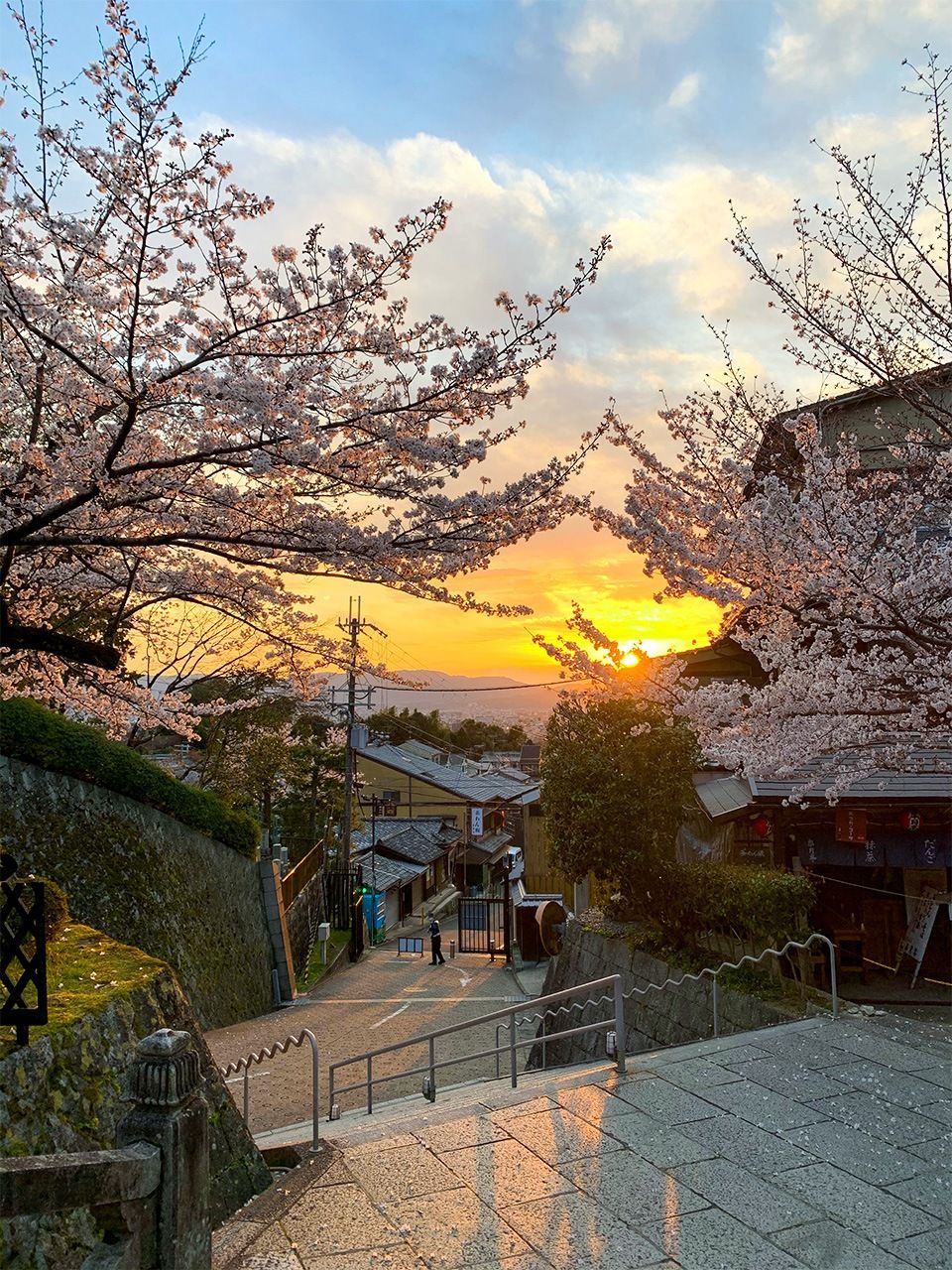 春季樱花满开的清水寺
