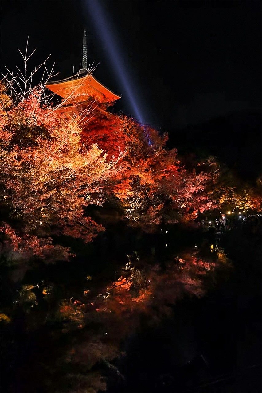 清水寺的夜枫