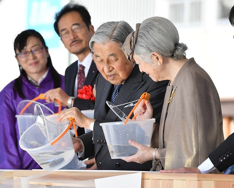 明仁天皇和皇后在全国丰饶海洋创造大会上将石鲈鱼的幼鱼投放入海中，2018年10月28日，高知县土佐市（时事社）