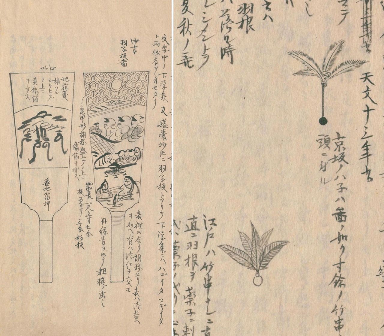 文化文政期（1804-1831年）左右的“羽子板”和“羽”。羽子板两面画着江户风情的图案。羽根，上面是京坂（上方）的，下面是江户的造型。京坂的小球上插着一根长竹签，跟羽毛相连，江户的则没有竹签