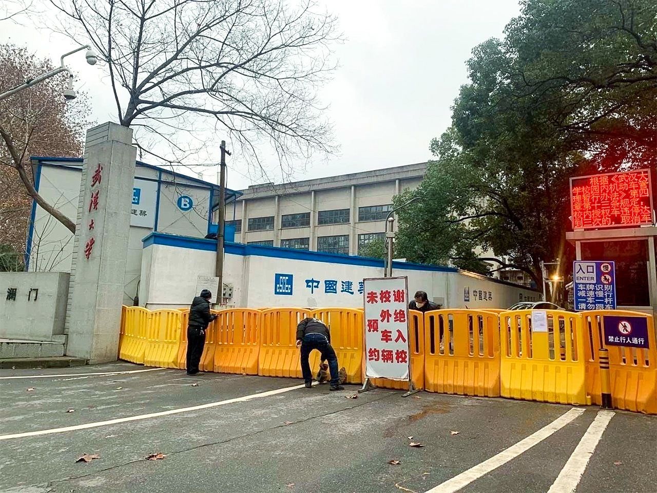 封锁中的武汉大学