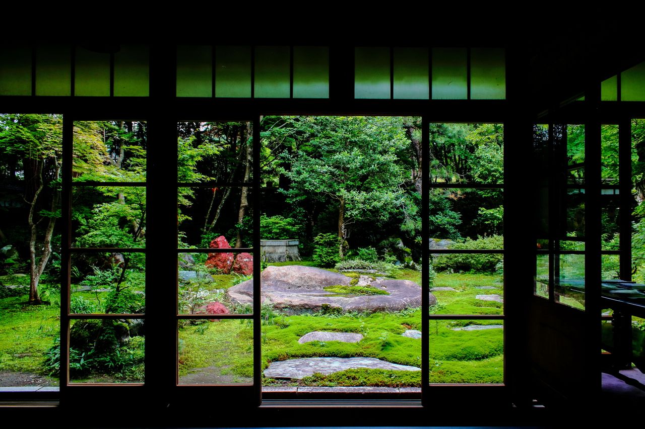 在新潟县的中野邸美术馆，青苔装点着日式庭园，展示出日本园林文化的独特性。（作者拍摄）