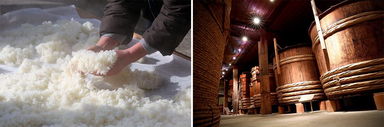 酿造日本酒(左)、酒窖(图片:PIXTA)