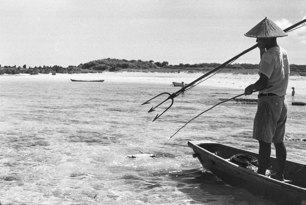 渔民在冲永良部岛用茅捕鱼