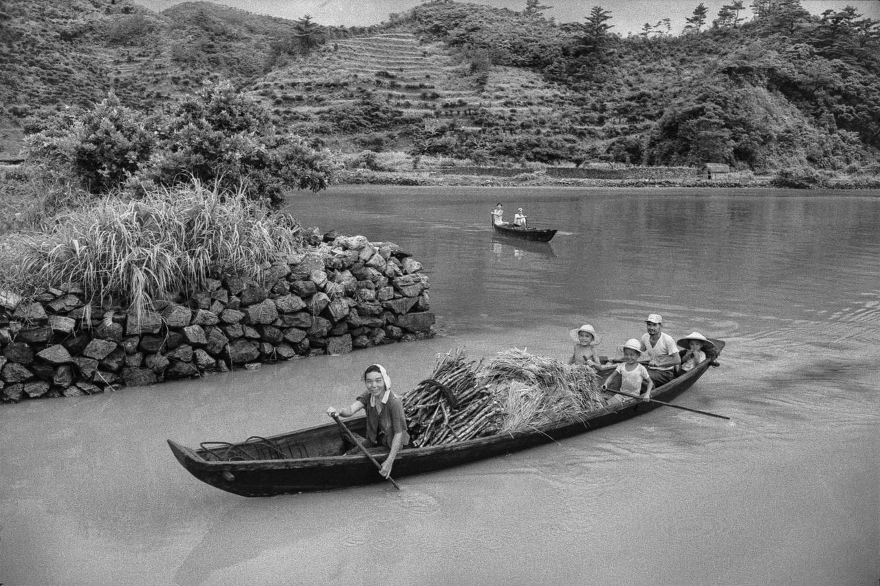 稻谷收割后归来的父母与3个孩子