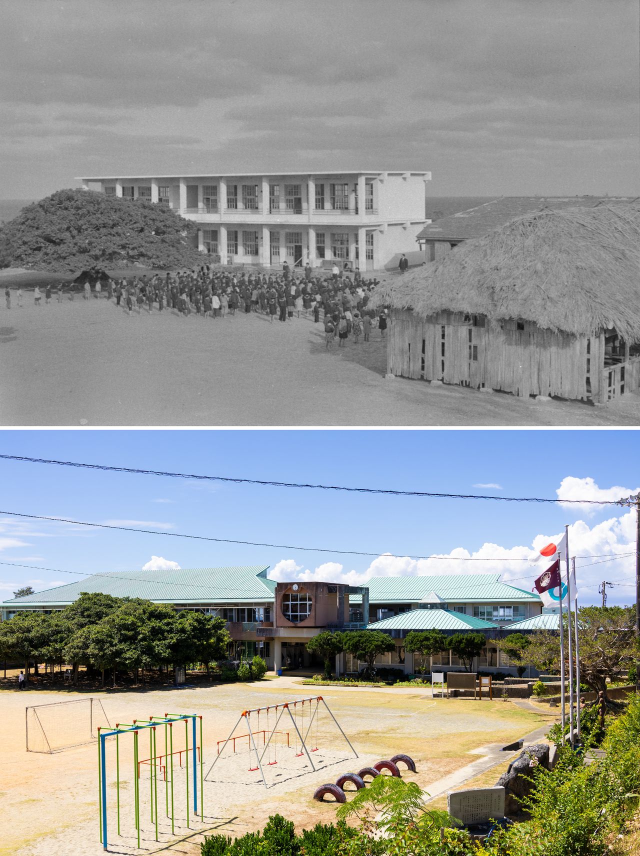 校舍已经重建,但校园里的“日本第一榕树”还在(摄影:nippon.com日本网)