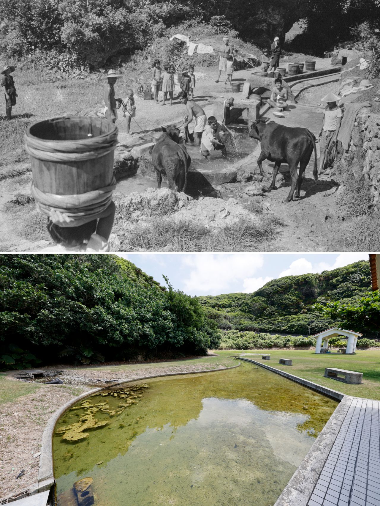 地下水涌出地表形成的水流“旺乔”现已成为公园的一部分。过去,从上流往下,依次划分为饮用水、沐浴和洗衣用水、牲畜用水。由此可知,水边曾是当地居民重要的社交场所(摄影:芳贺日向)