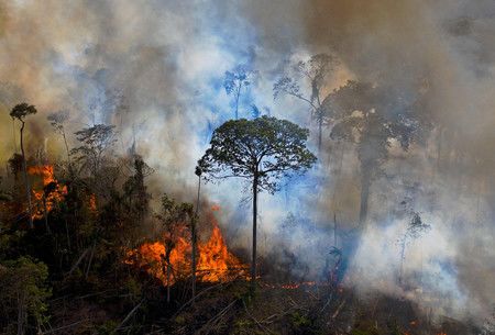非法烧山造成浓烟笼罩的亚马逊热带雨林（2020年8月15日，巴西北部帕拉州，AFP/时事社）