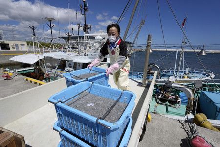在东京电力福岛第一核电站附近的渔港，一名女性在搬运小银鱼（24日，福岛县浪江町，EPA/时事社）
