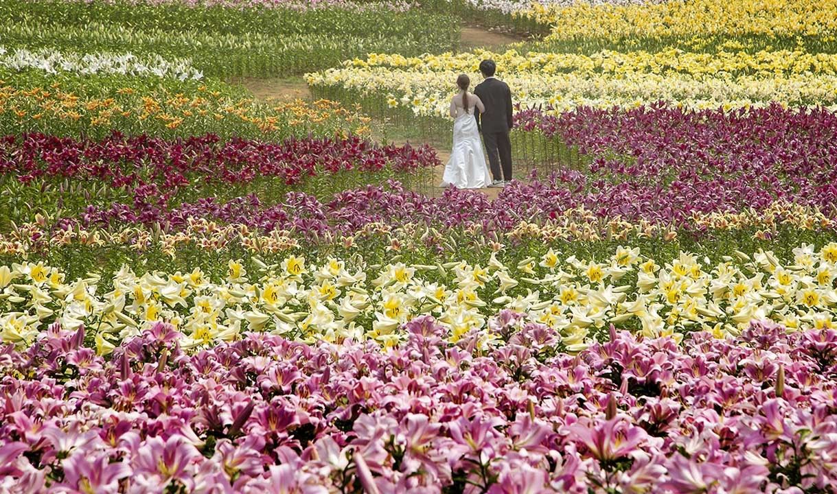 (视频)芳香四溢的德国村