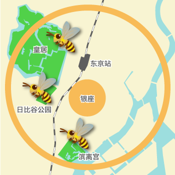 养蜂人路线图图片