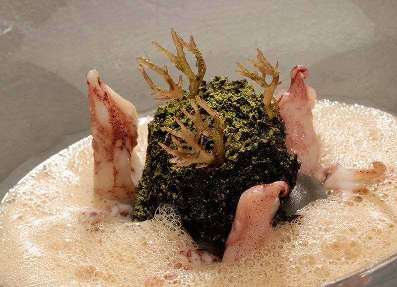 乌贼菜，盘子中央的岩石是用洋葱、海藻和乌贼墨汁做成，用抹茶表现苔藓