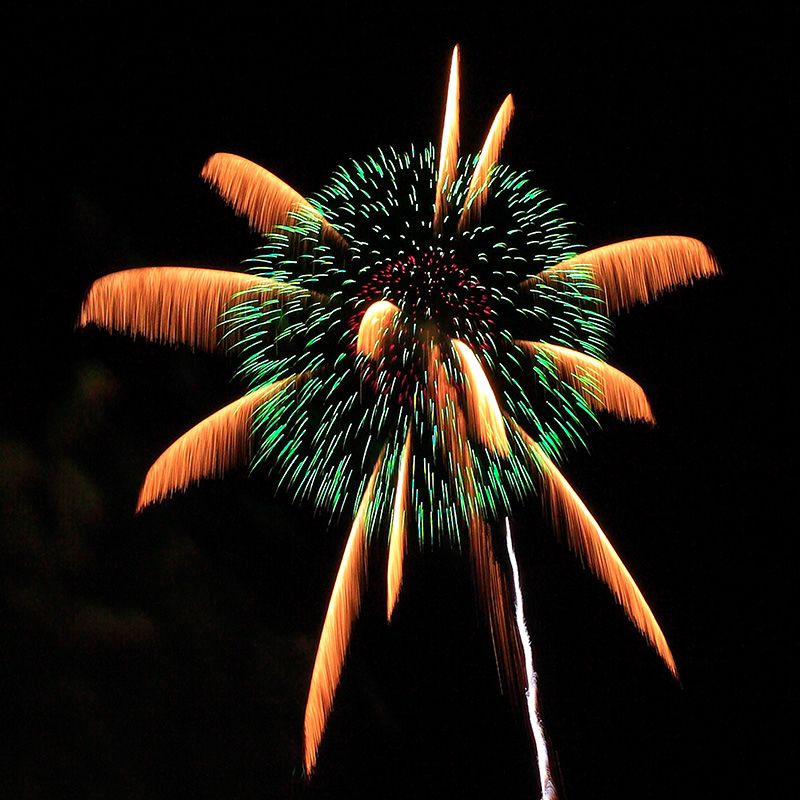 “椰树叶和菊花焰火” 长野县长野市“长野祭财神焰火大会”