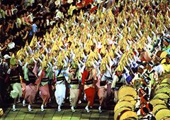 Awa Odori