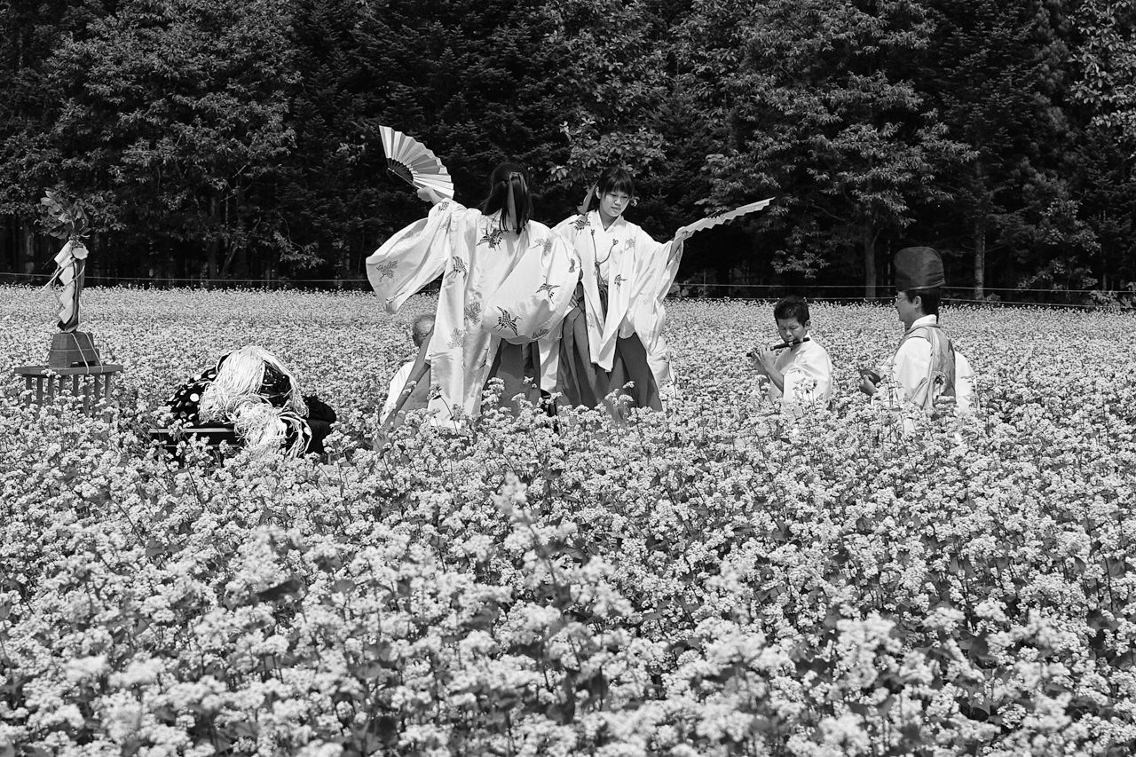 The Hokkaidō ritual dance Yaotome no mai (2016). An Important Intangible Folk Cultural Property of Japan, with over 300 years of history.