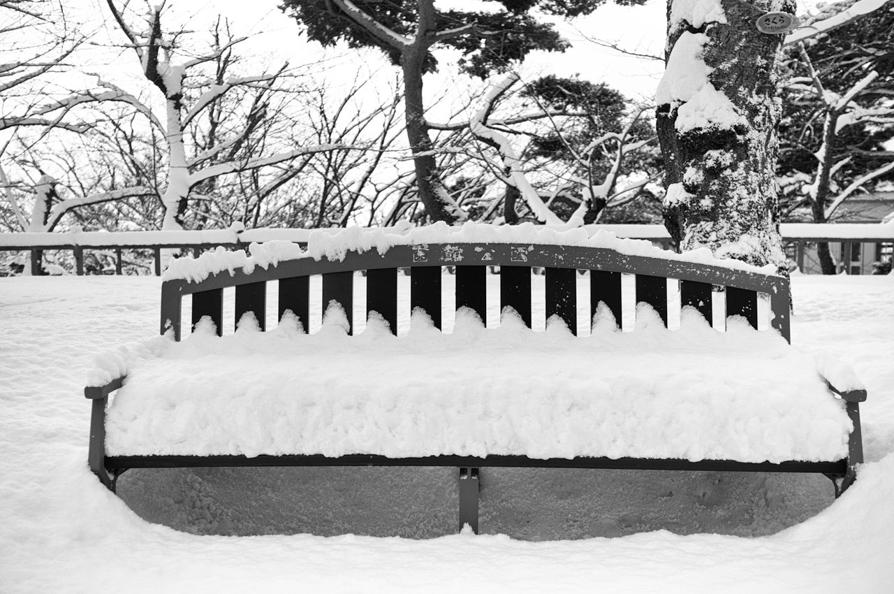 A cushion-like covering of snow on a bench inside Hakodate Park.