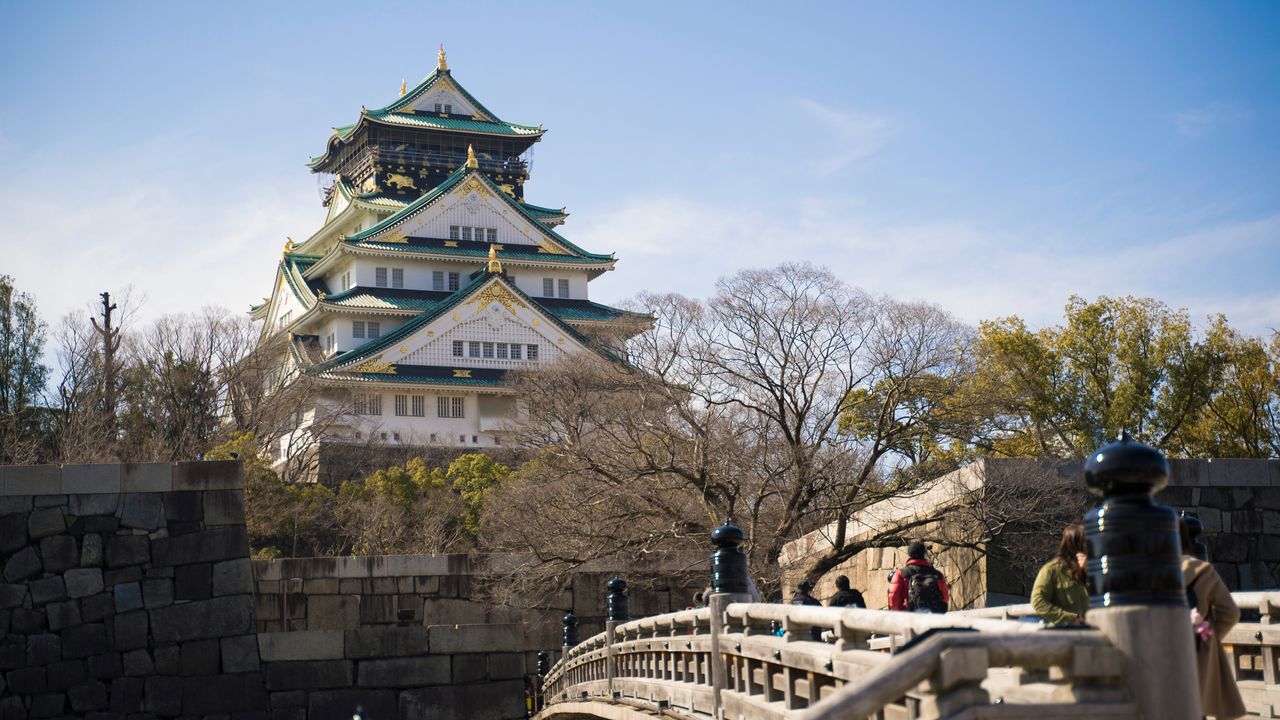 Image result for Osaka Castle