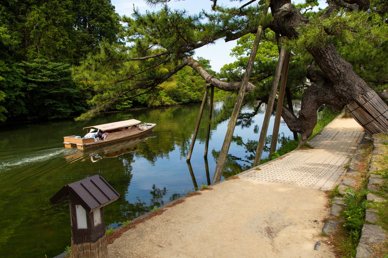 A sightseeing boat passes the kuguri matsu, a curiously shaped pine tree associated with lovers. 