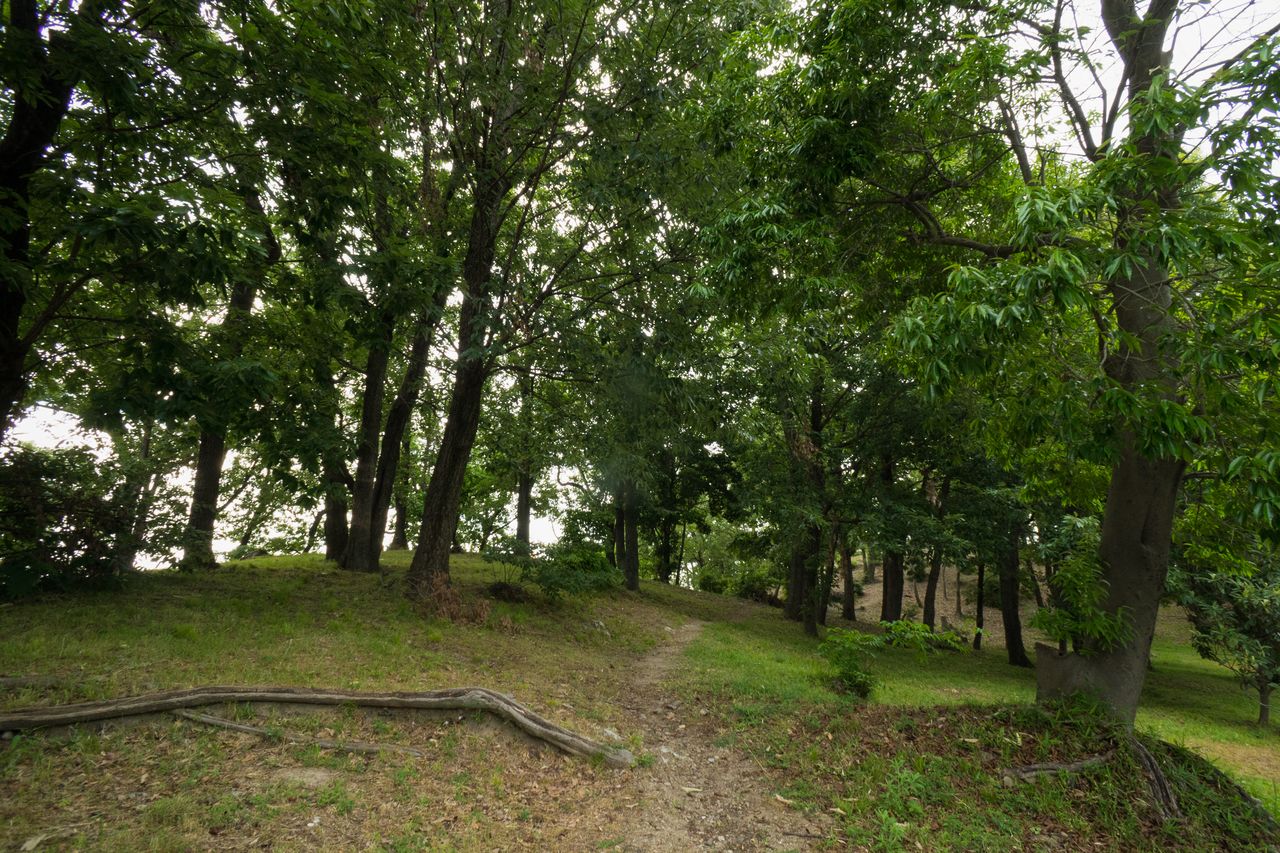 The Ōtorizuka burial mound is open to the public.