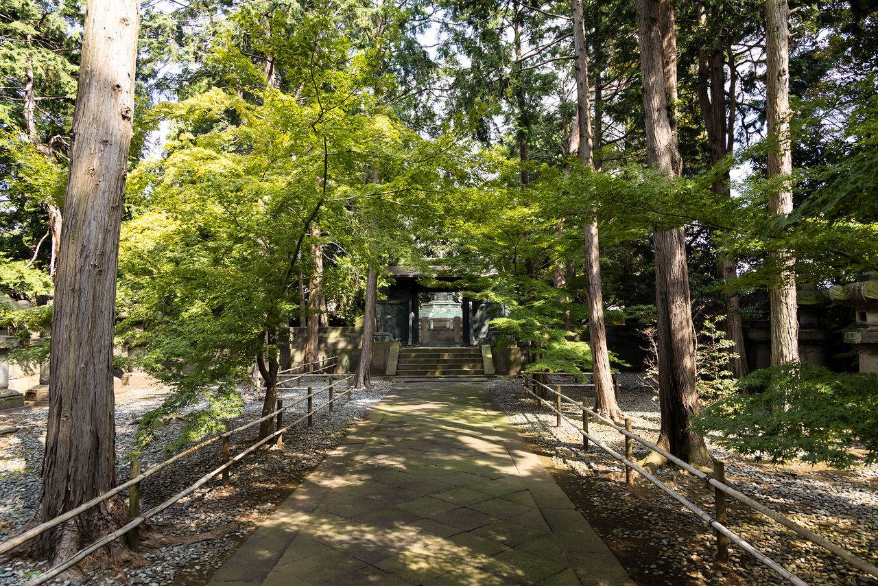 The tranquil atmosphere of the path leading to the Tokugawa tombs belies their location in bustling Tokyo.